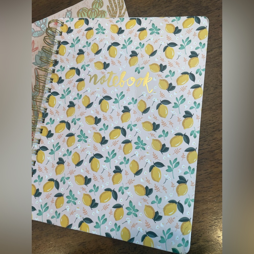 Notebooks (4 total)